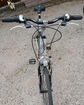 Bici da donna