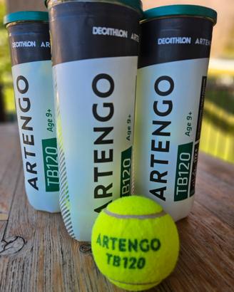 palline tennis Artengo TB120