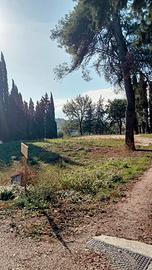 Terreno Edificabile a Treia: 5.000 mq pianeggianti