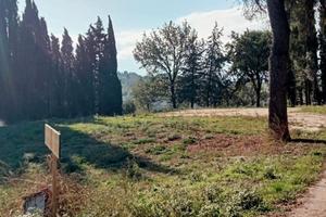 Terreno Edificabile a Treia: 5.000 mq pianeggianti