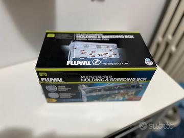 Vasca appesa per acquario