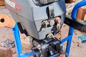 motore evinrude 4hp  fuoribordo due tempi