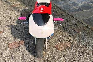 Minimoto ginese