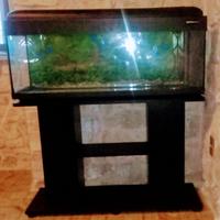 acquario portata 100litri con mobiletto incluso 