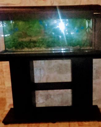 acquario portata 100litri con mobiletto incluso 
