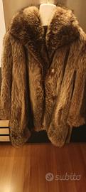 pelliccia di castoro