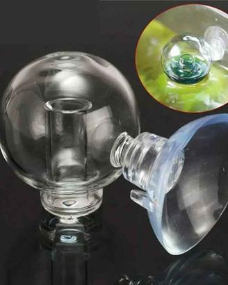 Test permanente CO2 in acquario