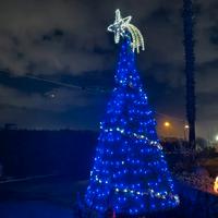 Albero di Natale esterno