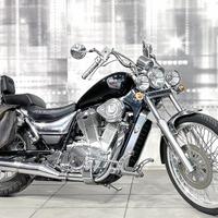 Suzuki VS 800 Intruder