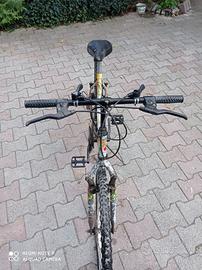 Bicicletta MTB