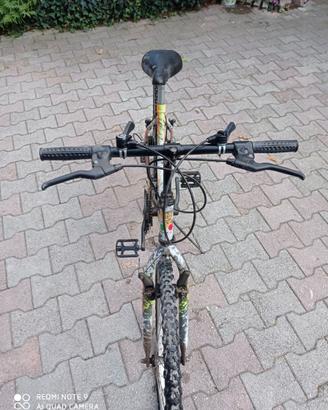 Bicicletta MTB