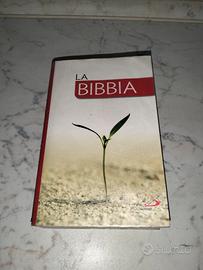 Libro catechismo La bibbia