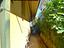 Immagine 23