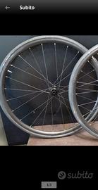 bontrager paradigm sl