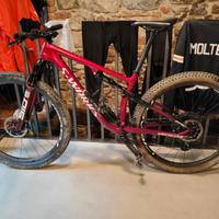 MTB s-works Epic 2021