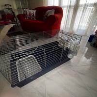 Gabbia per conigli,cincillà, porcellini d’india