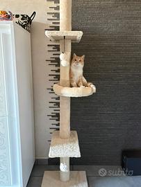 Mobile tiragraffi arrampicata per gatti