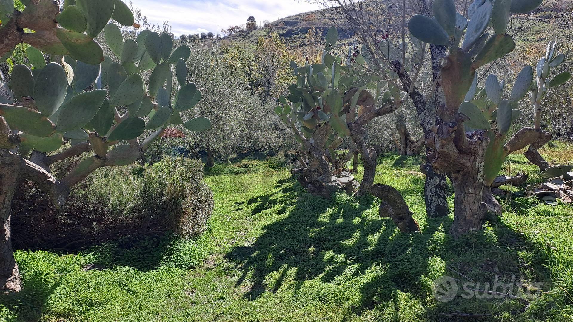 House in Castellana Sicula, Calcarelli - Vista 4