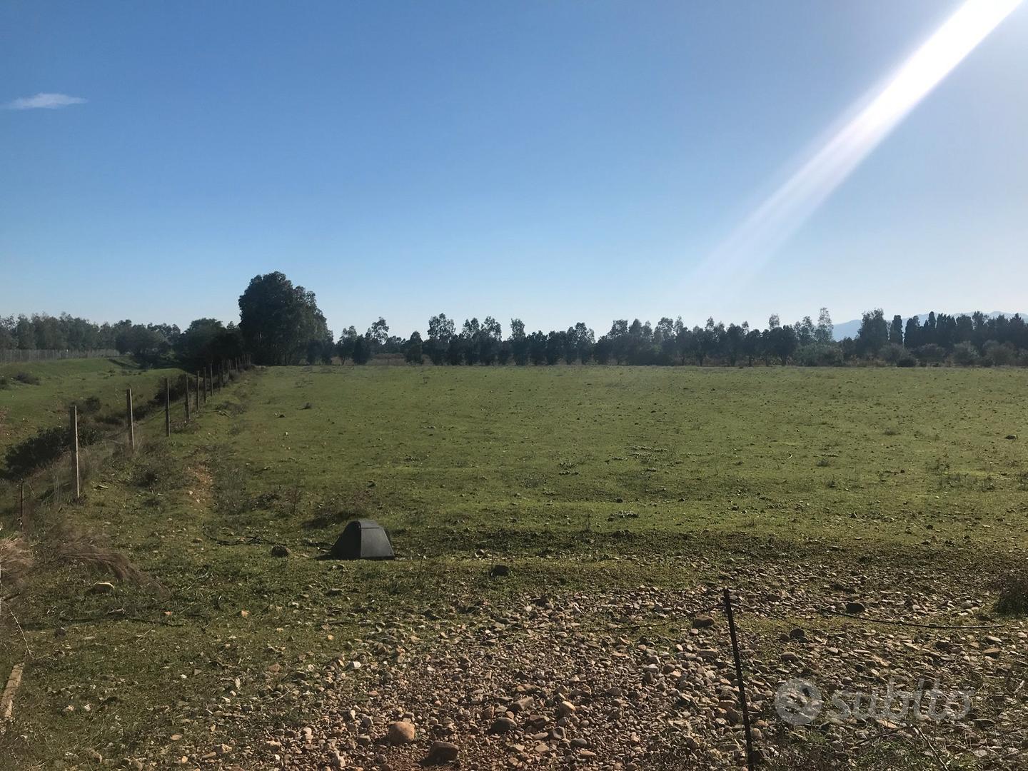 Terreno agricolo di mq 12500 edificabile - Vista 3