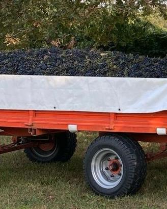 Rimorchio agricolo carro uva per vendemmia manuale