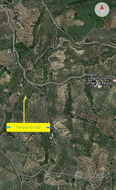 Terreno con ulivi Miglionico