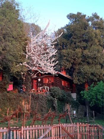 Chalet in parco di villa