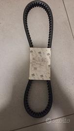 cinghia e rulli beverly 350