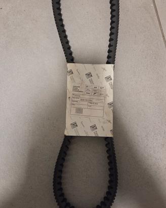 cinghia e rulli beverly 350