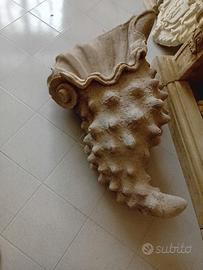 conchiglia scolpita a mano 