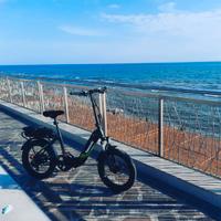 Bicicletta elettrica kawasaki