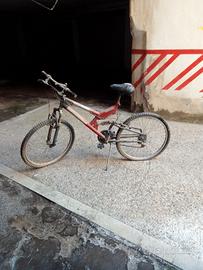 Bicicletta Mountain Bike 