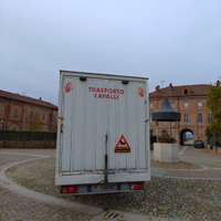 Van trasporto cavalli, due posti