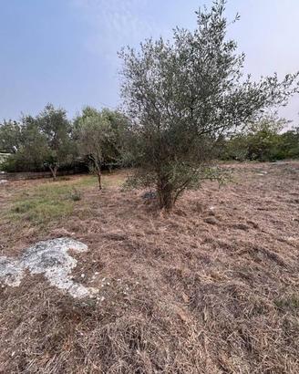 Terreno di 3000 m² a Formia