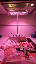 Serra smart idroponica con set di nutrienti e semi