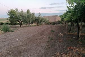 terreni agricoli bio 
