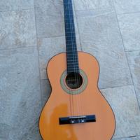 chitarra per principianti