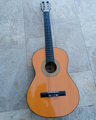 chitarra per principianti