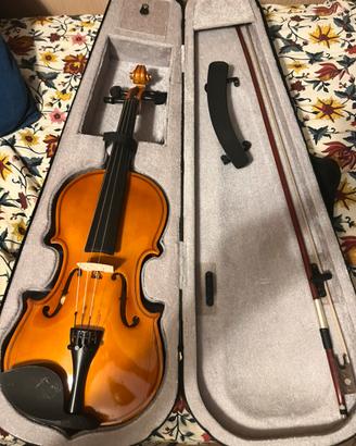 Violino