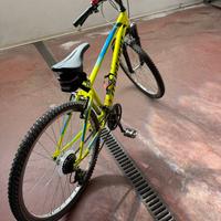 Bici mtb ragazzo