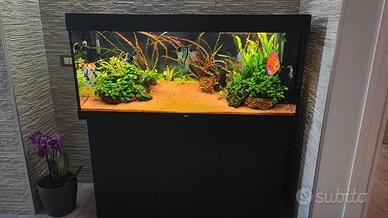 acquario juwel Rio 240