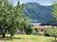 Immagine 24