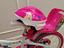 Immagine 6