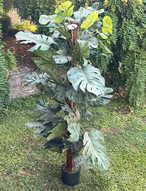 Pianta artificiale monstera decorativa h 140 cm