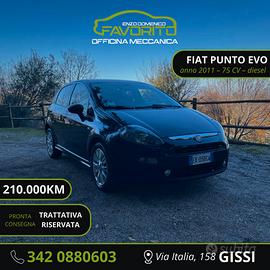 Fiat Punto Evo Punto Evo 5p 1.3 mjt Dynamic s