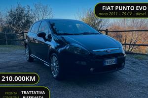 Fiat Punto Evo Punto Evo 5p 1.3 mjt Dynamic s