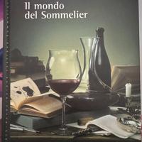 Libro primo livello AIS