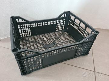 Cassette in plastica per ortofrutta