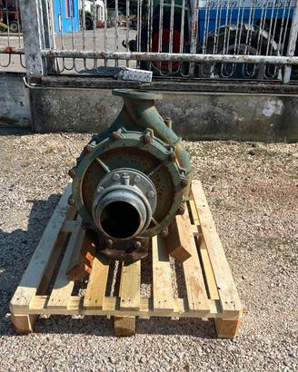 pompa Caprari M6100HT 2A - CE