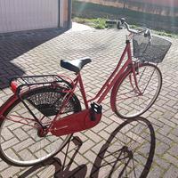 Bicicletta da passeggio 