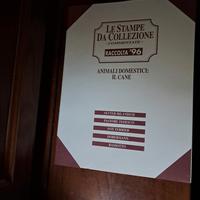 Le Stampe Da Collezione Animali Domestici: Il Cane